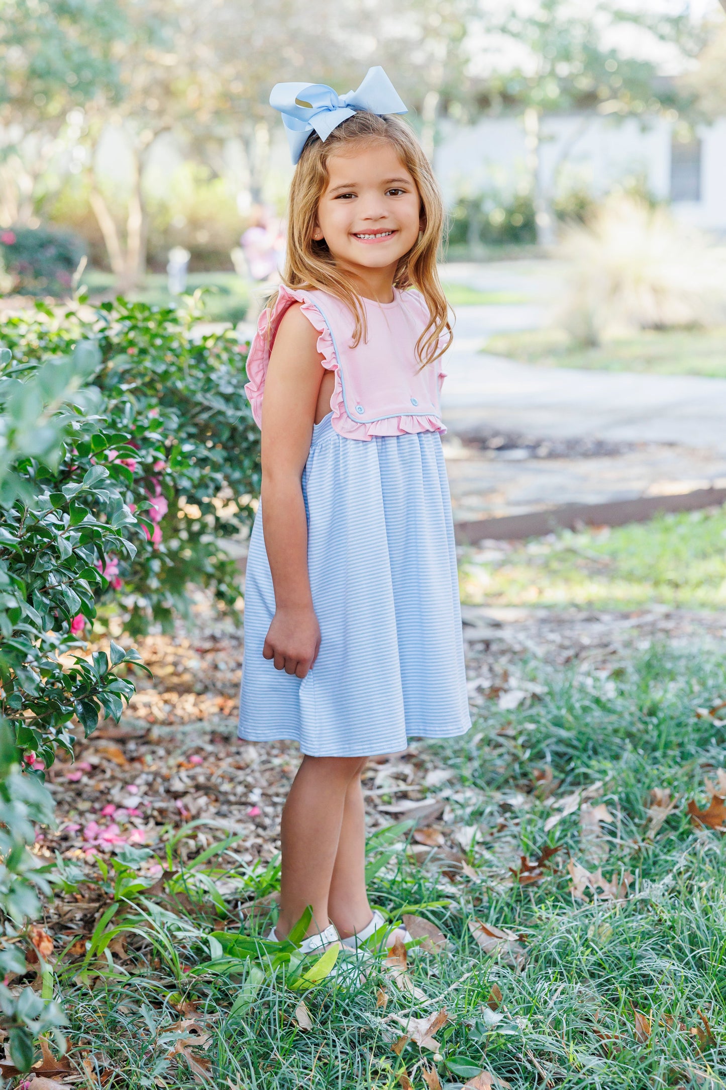 Amelia Dress - Pink with Light Blue Stripe
