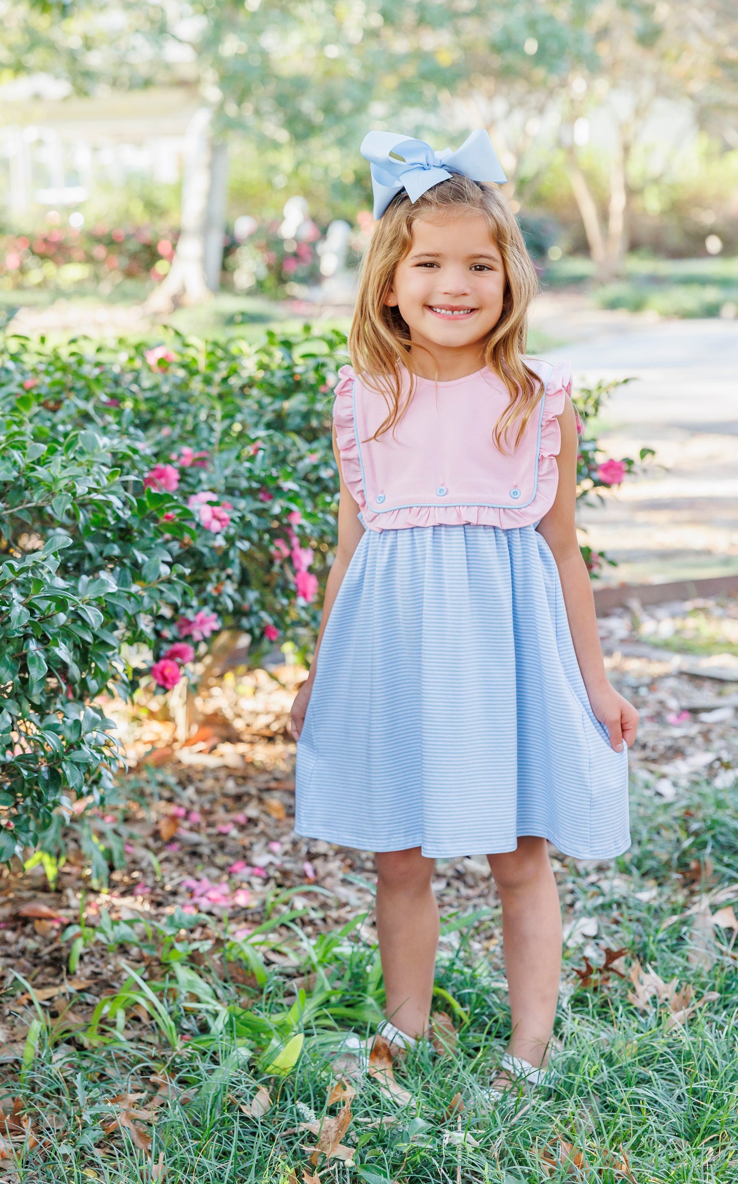 Amelia Dress - Pink with Light Blue Stripe